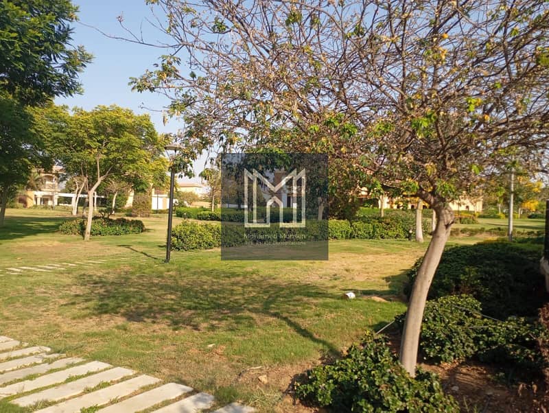 8 31870. jpg