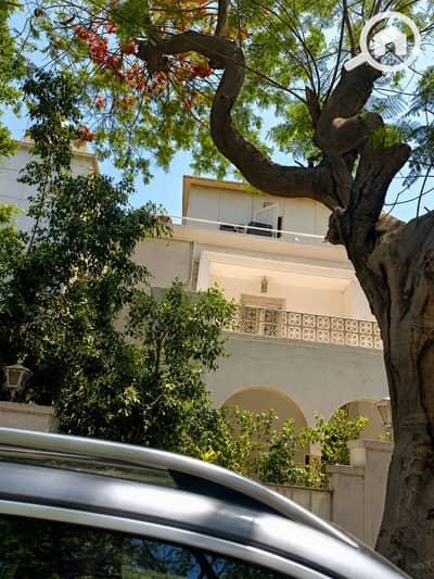 Office for Rent in Dokki, Giza - 1000681053. png
