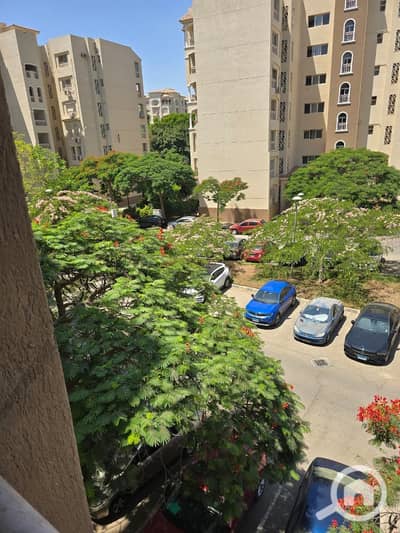 3 Bedroom Apartment for Rent in Madinaty, Cairo - 1000696037. jpg
