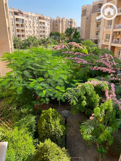1 Bedroom Apartment for Rent in Madinaty, Cairo - cbff8c1b-9325-40ec-b23b-4741c40d5dcf. jpg 1 Bedroom Apartment for Rent in Madinaty, Cairo - cbff8c1b-9325-40ec-b23b-4741c40d5dcf. jpg