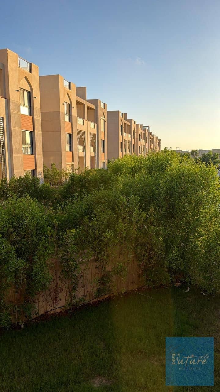 6 145274. jpg