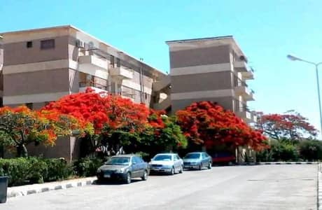 3 Bedroom Flat for Sale in North Coast, Matruh - شقة للبيع بمرقيا الجنوبية الساحل الشمالي (بحرية) 3 Bedroom Flat for Sale in North Coast, Matruh - شقة للبيع بمرقيا الجنوبية الساحل الشمالي (بحرية)