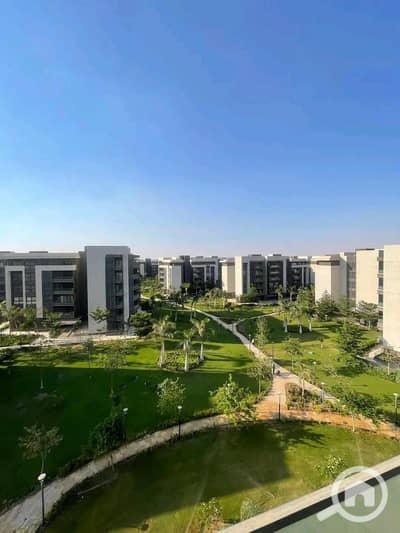 3 Bedroom Apartment for Sale in Madinaty, Cairo - WhatsApp Image 2026-07-17 at 7.17. 09 PM (1). jpeg 3 Bedroom Apartment for Sale in Madinaty, Cairo - WhatsApp Image 2026-07-17 at 7.17. 09 PM (1). jpeg