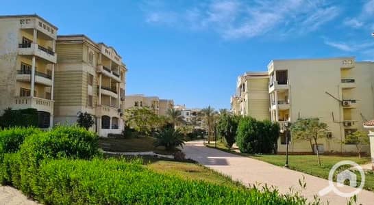 3 Bedroom Duplex for Sale in Sheikh Zayed, Giza - WhatsApp Image 2026-07-18 at 1.01. 15 PM (2). jpeg 3 Bedroom Duplex for Sale in Sheikh Zayed, Giza - WhatsApp Image 2026-07-18 at 1.01. 15 PM (2). jpeg