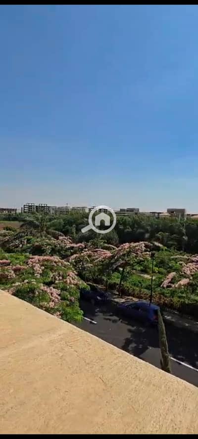 تاون هاوس 4 غرف نوم للبيع في مدينتي، القاهرة - 1000389504. jpg تاون هاوس 4 غرف نوم للبيع في مدينتي، القاهرة - 1000389504. jpg