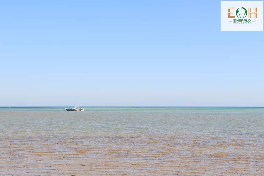 7 IMG_4838 - Copy. JPG