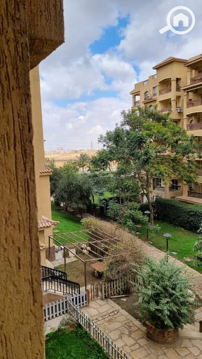 3 Bedroom Flat for Rent in Madinaty, Cairo - 1002554578. jpg 3 Bedroom Flat for Rent in Madinaty, Cairo - 1002554578. jpg