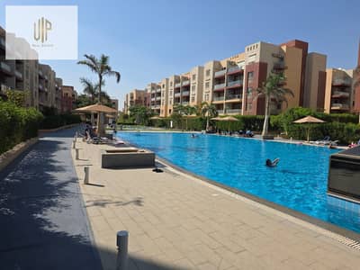 3 Bedroom Flat for Sale in New Cairo, Cairo - WhatsApp Image 2026-07-18 at 1.03. 15 PM (2). jpeg 3 Bedroom Flat for Sale in New Cairo, Cairo - WhatsApp Image 2026-07-18 at 1.03. 15 PM (2). jpeg