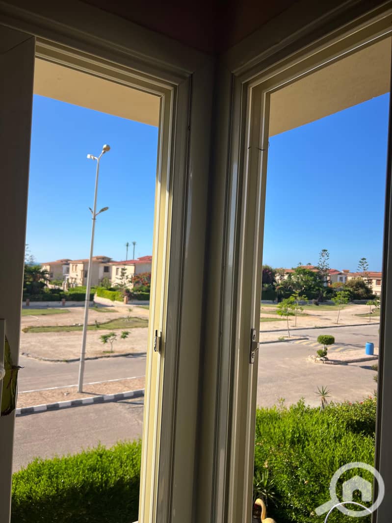 7 107944. jpg