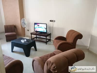 شقة 2 غرفة نوم للايجار في زهراء المعادى، القاهرة - IMG-20260718-WA0081. jpg شقة 2 غرفة نوم للايجار في زهراء المعادى، القاهرة - IMG-20260718-WA0081. jpg