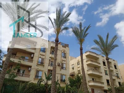 4 Bedroom Apartment for Sale in New Cairo, Cairo - وحدة1. jpg 4 Bedroom Apartment for Sale in New Cairo, Cairo - وحدة1. jpg