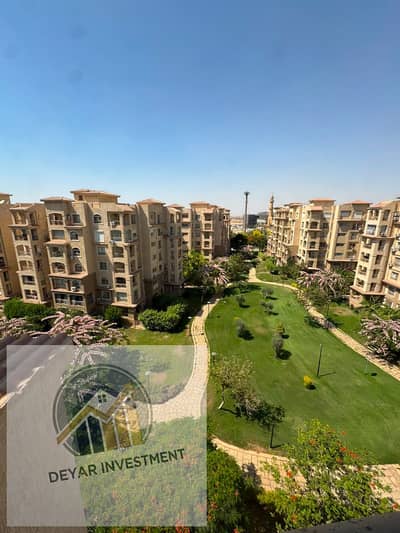 3 Bedroom Flat for Rent in Madinaty, Cairo - 1000586735. jpg 3 Bedroom Flat for Rent in Madinaty, Cairo - 1000586735. jpg