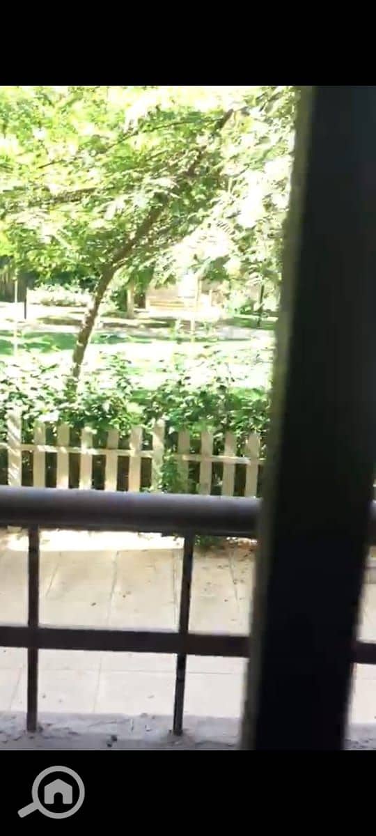7 4265. jpg