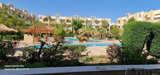 1 Bedroom Chalet for Sale in Sharm al-Sheikh, Sinai - فرصه للسكن والاستثمار في قلب شرم الشيخ 1 Bedroom Chalet for Sale in Sharm al-Sheikh, Sinai - فرصه للسكن والاستثمار في قلب شرم الشيخ