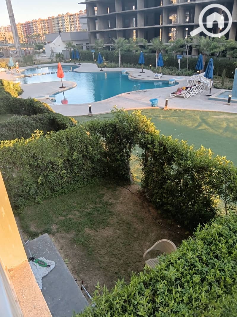 3 77854. jpg