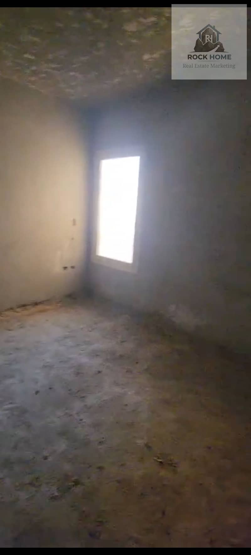 9 1000259254. jpg