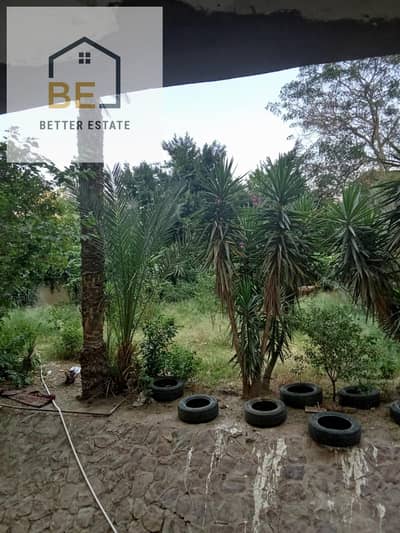 3 Bedroom Flat for Sale in Nasr City, Cairo - WhatsApp Image 2026-07-11 at 10.23. 27 PM. jpeg 3 Bedroom Flat for Sale in Nasr City, Cairo - WhatsApp Image 2026-07-11 at 10.23. 27 PM. jpeg