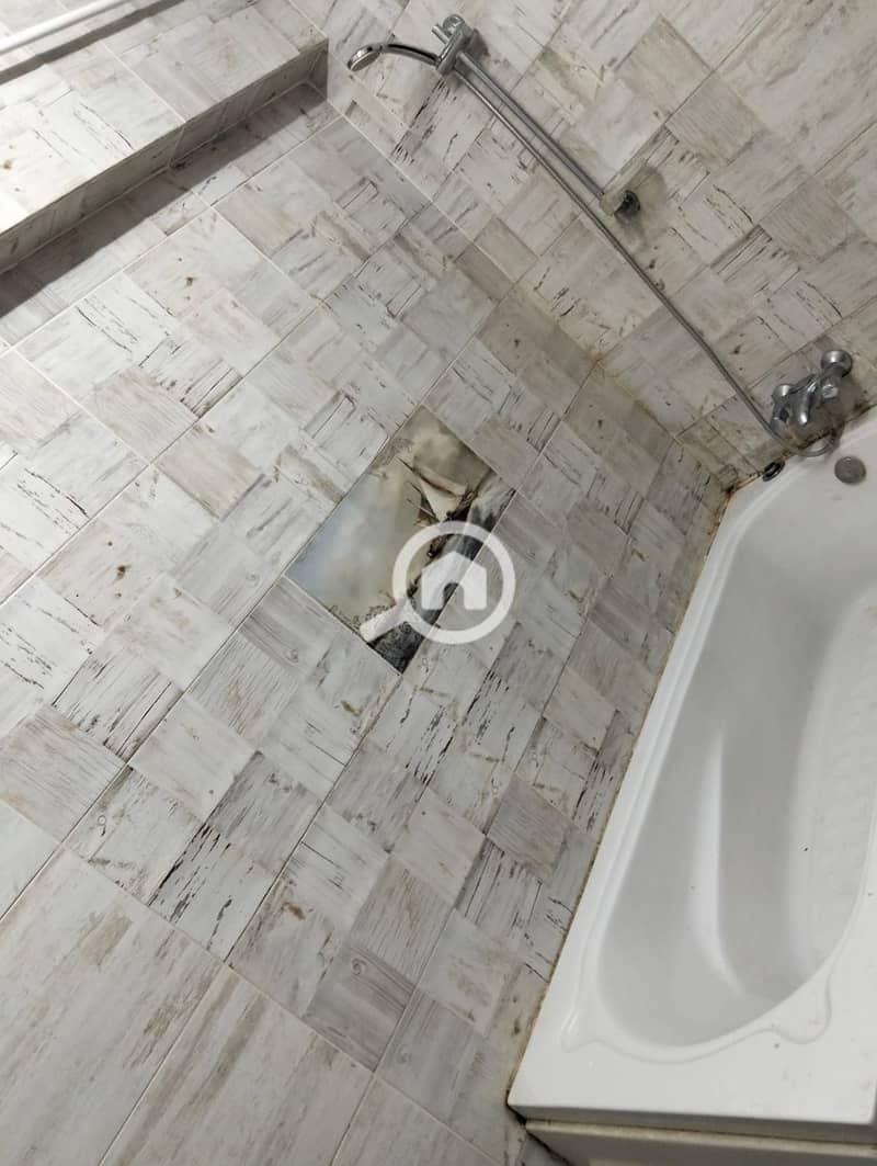 7 1000438719. jpg
