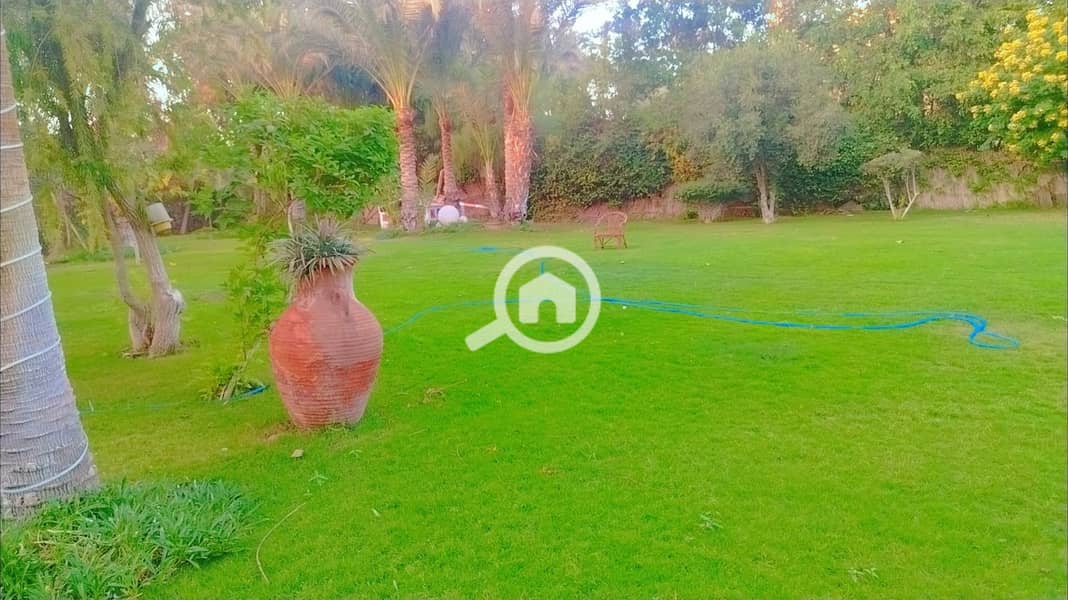 14 Snapchat-545777165_edit_159326385888595. jpg