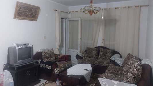 2 Bedroom Flat for Rent in New Cairo, Cairo - شقة مفروشة للإيجار الدور الخامس إسكان الشباب الجنوبي التجمع الاول 2 Bedroom Flat for Rent in New Cairo, Cairo - شقة مفروشة للإيجار الدور الخامس إسكان الشباب الجنوبي التجمع الاول