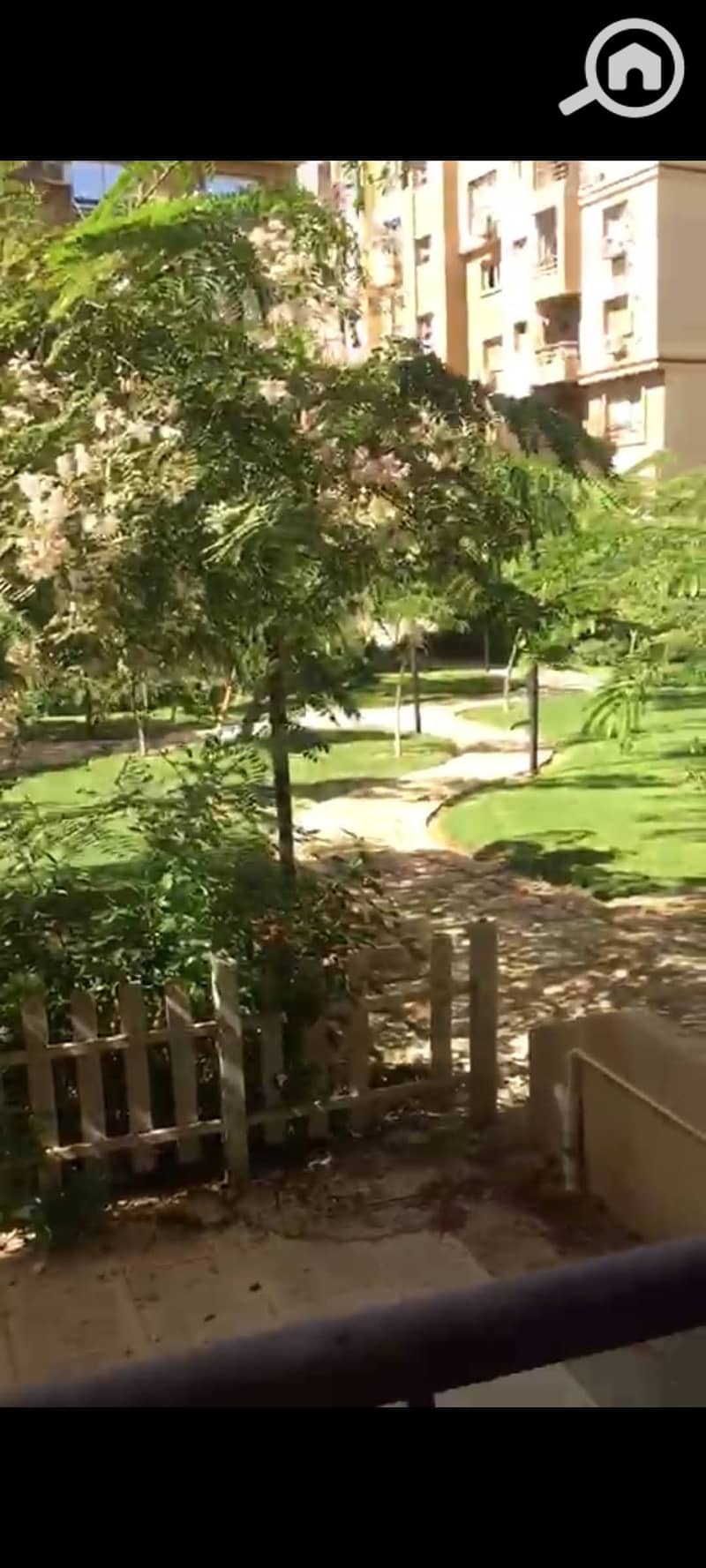 15 1000854672. jpg