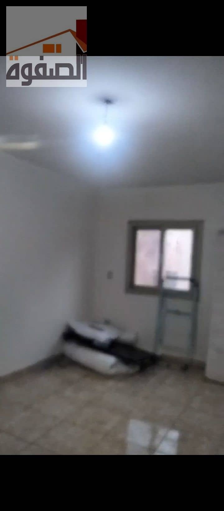 7 1000236393. jpg