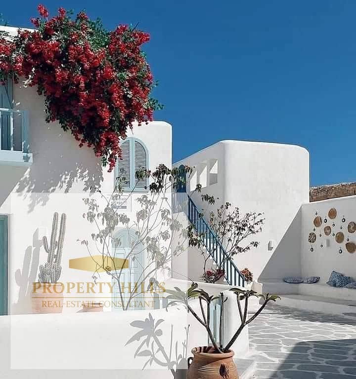 6 738330599_1030565886386802_524232225623702257_n. jpg