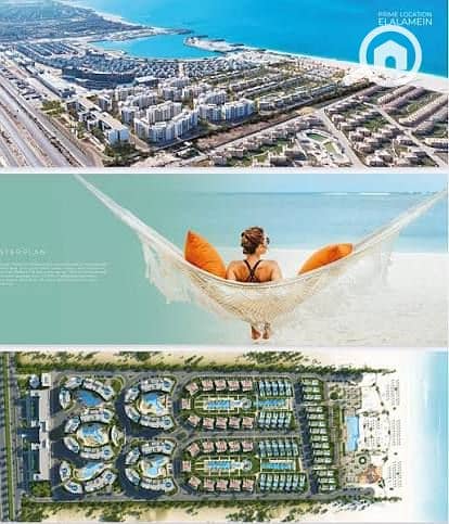 5 images (3). jpg