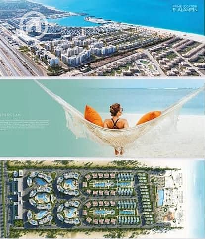 5 images (3). jpg