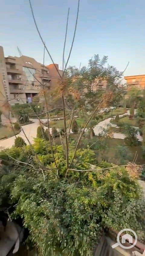 4 vf_VID-20260202-WA0022_92000. jpeg