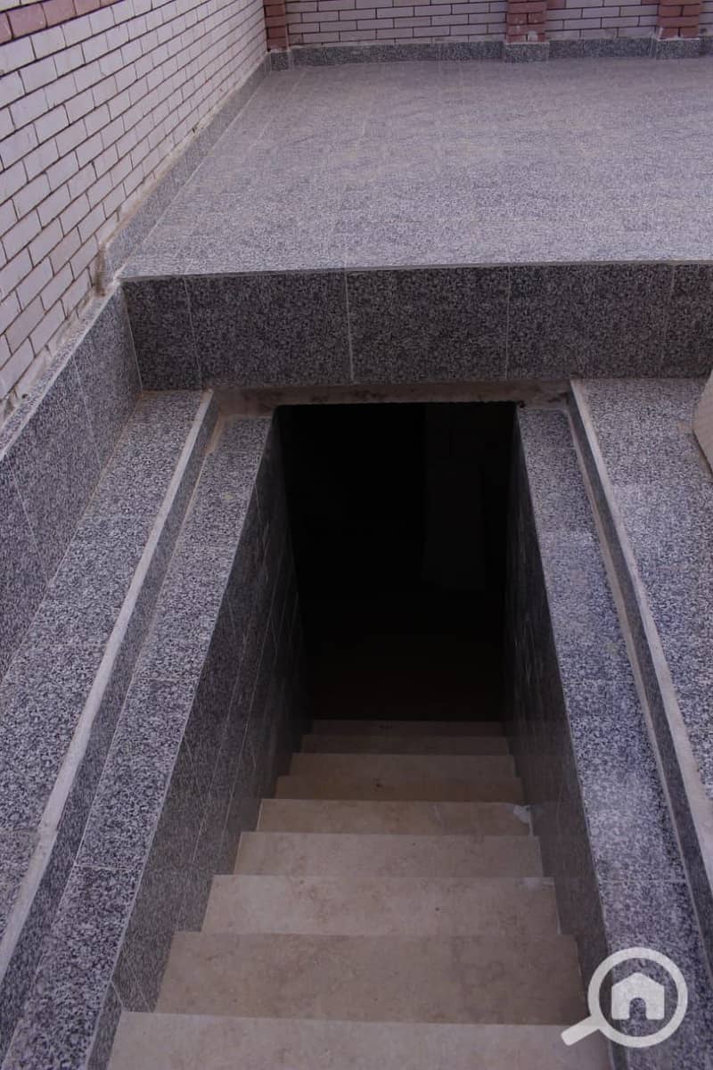 6 1000213978. jpg