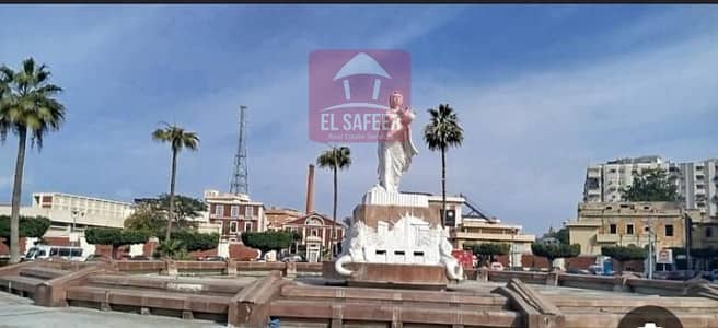 Retail for Rent in Waboor Elmayah, Alexandria - 93f56ccc-d0ec-442d-871f-22d1939a2740. jpg Retail for Rent in Waboor Elmayah, Alexandria - 93f56ccc-d0ec-442d-871f-22d1939a2740. jpg