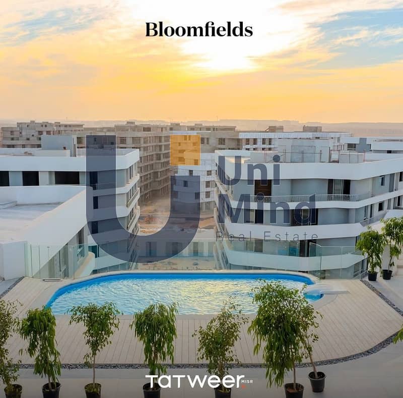 2 481452190_651618447373468_945305446015592030_n. jpg