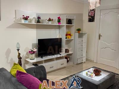شقة 2 غرفة نوم للايجار في سبورتنج، الإسكندرية - WhatsApp Image 2026-07-19 at 12.22. 26 PM. jpeg شقة 2 غرفة نوم للايجار في سبورتنج، الإسكندرية - WhatsApp Image 2026-07-19 at 12.22. 26 PM. jpeg
