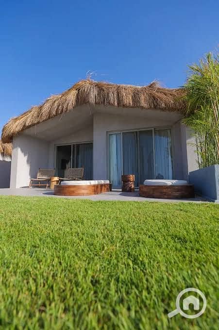 11 images (13). jpg