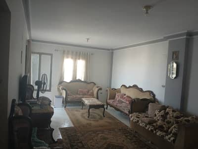 شقة 3 غرف نوم للبيع في الشيخ زايد، الجيزة - الإسكان الحدائقي مدينة الشيخ زايد - تمويل عقاري للبيع في 6 أكتوبر شقة 3 غرف نوم للبيع في الشيخ زايد، الجيزة - الإسكان الحدائقي مدينة الشيخ زايد - تمويل عقاري للبيع في 6 أكتوبر