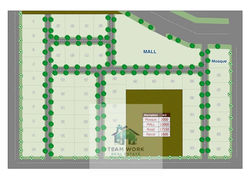 5 Layout15. jpg