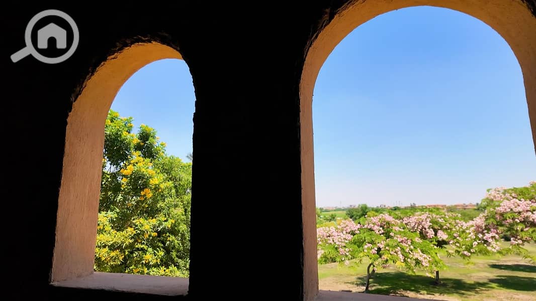 26 WhatsApp Image 2026-06-17 at 6.19. 02 PM (1). jpeg