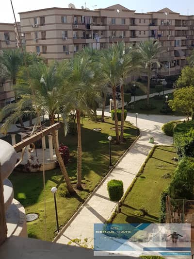 فلیٹ 3 غرف نوم للايجار في القاهرة الجديدة، القاهرة - WhatsApp Image 2026-07-19 at 3.39. 32 PM (4). jpeg فلیٹ 3 غرف نوم للايجار في القاهرة الجديدة، القاهرة - WhatsApp Image 2026-07-19 at 3.39. 32 PM (4). jpeg