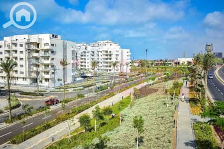 3 Bedroom Flat for Sale in North Coast, Matruh - WhatsApp Image 2026-04-19 at 11.41. 42 AM. jpg