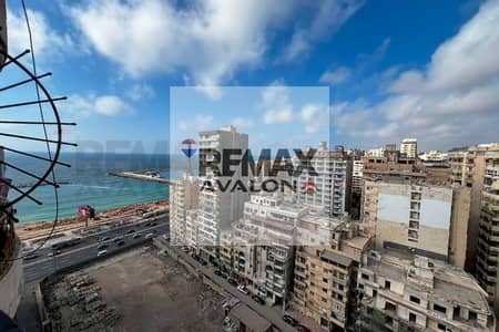 3 Bedroom Apartment for Rent in Laurent, Alexandria - 1. jpg 3 Bedroom Apartment for Rent in Laurent, Alexandria - 1. jpg