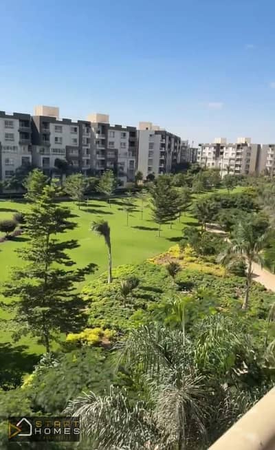 4 Bedroom Apartment for Sale in Madinaty, Cairo - WhatsApp Image 2026-07-19 at 4.34. 06 PM. jpeg 4 Bedroom Apartment for Sale in Madinaty, Cairo - WhatsApp Image 2026-07-19 at 4.34. 06 PM. jpeg