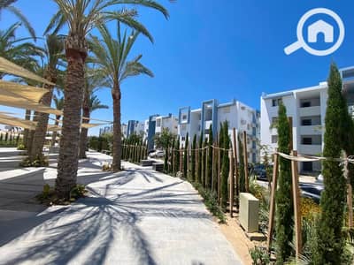 3 Bedroom Penthouse for Sale in North Coast, Matruh - WhatsApp Image 2026-07-12 at 3.11. 06 PM (1). jpeg