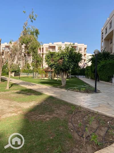 فلیٹ 3 غرف نوم للبيع في القاهرة الجديدة، القاهرة - WhatsApp Image 2026-07-19 at 6.15. 34 PM (4). jpeg فلیٹ 3 غرف نوم للبيع في القاهرة الجديدة، القاهرة - WhatsApp Image 2026-07-19 at 6.15. 34 PM (4). jpeg