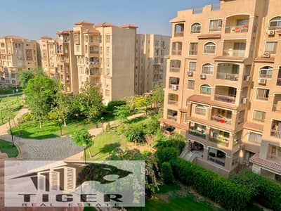 2 Bedroom Apartment for Rent in Madinaty, Cairo - 205172. jpg