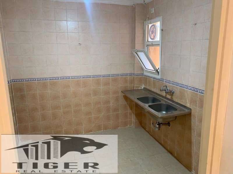 6 205166. jpg