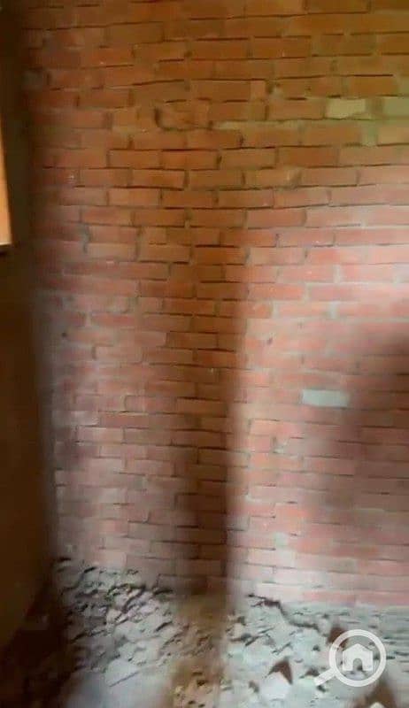 8 5974587396558884622. jpg