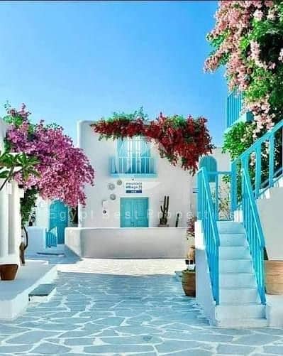 10 images (9). jpg