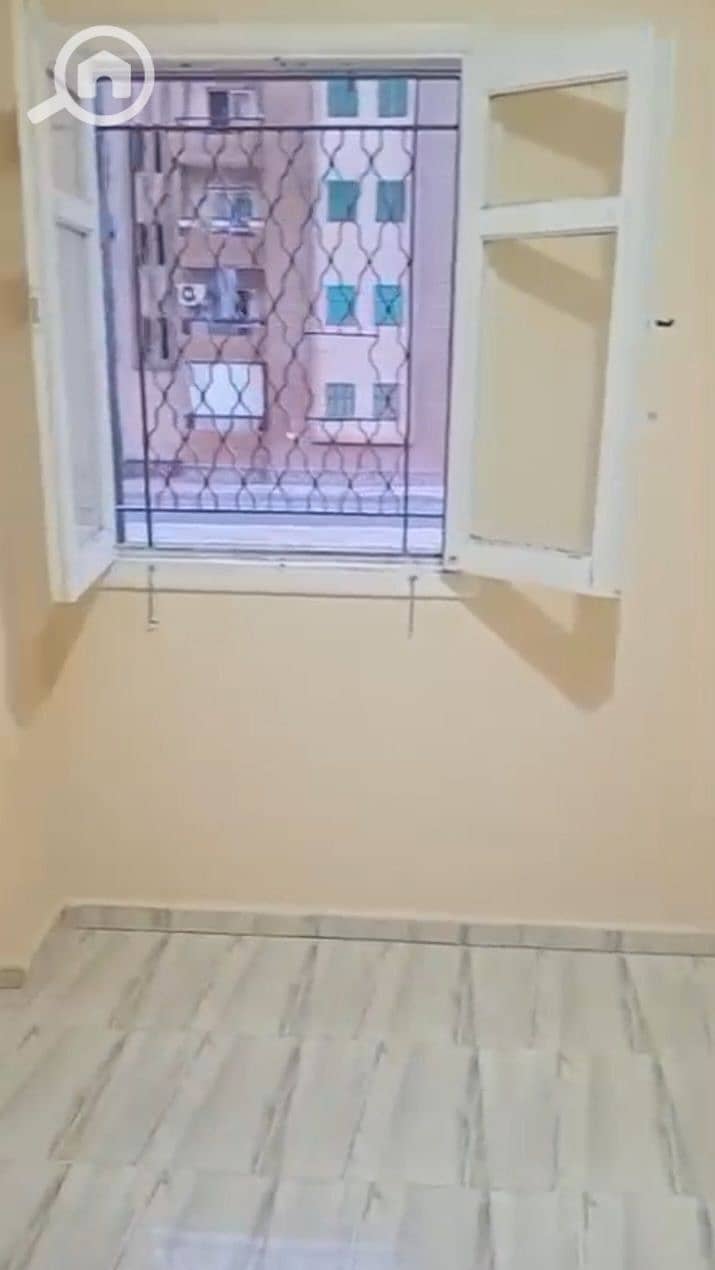 5 5974587396558884660. jpg