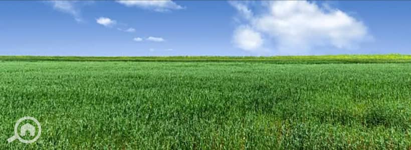 Agricultural Land for Rent in 6th of October, Giza - WhatsApp Image 2026-05-25 at 2.17. 29 PM. jpeg Agricultural Land for Rent in 6th of October, Giza - WhatsApp Image 2026-05-25 at 2.17. 29 PM. jpeg